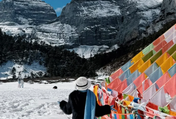 云南香格里拉 巴拉格宗一日游【含接送+品质纯玩+可选佛塔】【穿越密境！雪山峡谷佛塔一次集齐！】