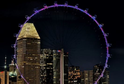 新加坡-鱼尾狮公园-滨海湾花园-摩天观景轮【市区上门接送】【专属线上管家服务+当地华人司机，给您专业的服务保障】