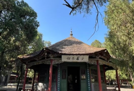 南阳市区包车往返｜卧龙岗武侯祠+汉画馆+南阳府衙+市博物馆【[一对一包车]专车上门接送，车辆费用全含】