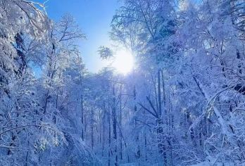 长白山【魔界漂流】+【和平/红松王滑雪2小时】畅玩一日游【冬天的仙境感受长白山特的雾凇漂流】