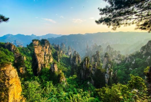 张家界国家森林公园一日游【三千奇峰・张家界地貌标杆】