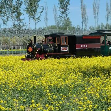 【包车游】周家庄花海一日游【包含门票】