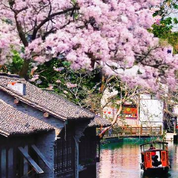 真纯玩：乌镇东栅+南浔夜景一日游/耳麦游船可选/可订私家团