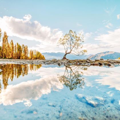 新西兰皇后镇往返：箭镇+瓦纳卡湖+卡德罗纳谷 深度游行程可调