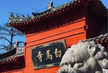洛阳白马寺+登封少林寺一日游【纯玩不进店丨专线导游耳麦讲解】【[亮点1]洛阳市区酒店上门接，返程送回应天门附近或者小街天府附近，终点站火车站】