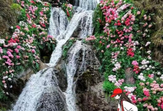 洛阳+栾川+重渡沟风景区一日游【2-8人精致小团+上门接送】【[纯玩]夏日避暑好去处，北方小九寨】