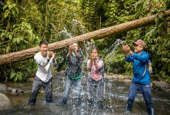 勐远仙境一日游【雨林研学/溶洞探秘/徒步穿越/奇妙夜游】【[明星雨林探险]星级路线+原始森林公园多种探索玩乐可选、发现和探索热带雨林动植物、融入体验乐趣再升级】