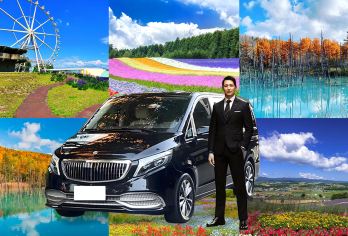 北海道美瑛青池富良野花海一日游【送自助午餐+四季彩之丘门票】【打卡美瑛青池、富良野花海，邂逅梦幻蓝色湖水与五彩花田，超适合拍照的北海道一日游！】