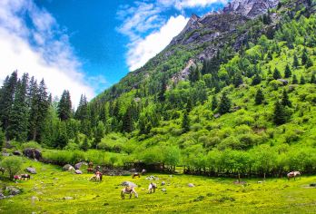 从小金县出发：四姑娘山双桥沟包车一日游【雪山/冰瀑/藏寨，摄影天堂】