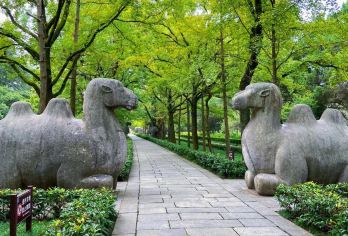 商务车丨英文导游丨中山陵+美龄宫+明孝陵+夫子庙+瞻园【金陵经典精华景点，晚出发不早起】