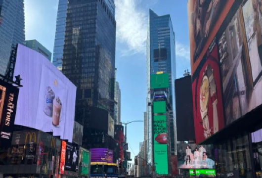 美国纽约自由女神+时代广场+帝国大厦观景一日游【经验丰富华人老司机带你体验时代广场繁华氛围】
