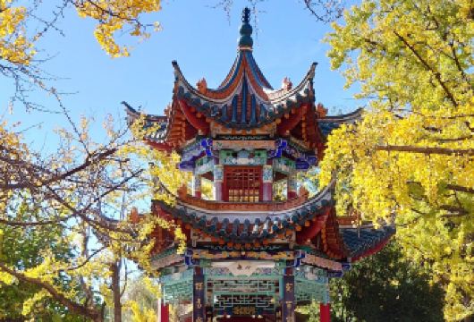 昆明大观楼+金马碧鸡坊+翠湖公园+西南联大博物馆包车一日游【品牌服务·随意组合·行程专属定 制·独立用车含接送·体验式休闲游】