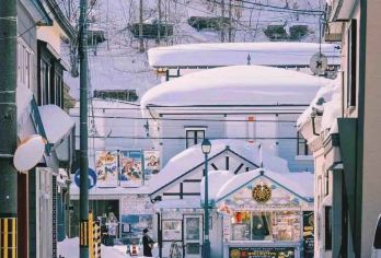日本札幌-小樽网红景点/可登别富良野北海道多日包车-精选【包车一日游，解锁旅行新方式！独立车辆配备经验丰富的老司机，为您量身打造专属行程。】
