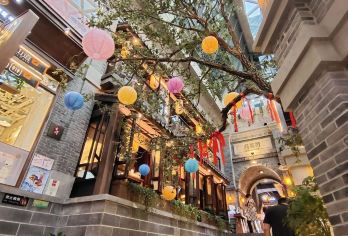 54路电车穿越之旅｜这有山秘境×长影胶片记忆×南湖绿肺呼吸【专车接送，行程可调】