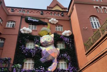 【私家团】青岛啤酒博物馆+栈桥+五四+奥帆+小麦岛+八大关【此行程上门接送丨基本包含青岛大部分著名景点丨真正做到一天玩完青岛市内景点】