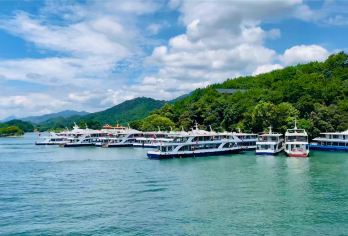 杭州出发·千岛湖梅峰岛·游船线路·纯玩一日游【杭州发团·拼团纯玩】