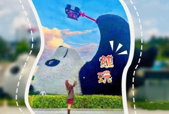 轻松游·都江堰一日游◈10点场赠川剧武术·13点场观蓝眼泪【纯玩口碑引领者 正牌总社自营！累计服务100万+，真纯玩口碑保障！深耕古堰秘境·精讲团】