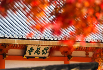 大阪胜尾寺+爱宕念佛寺+京都岚山徒步一日游，千与千寻同款【胜尾寺2小时超长活动时间，盖章明信片打卡和达摩祈福，祈求胜利和好运。】