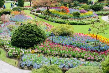 维多利亚 1日游（含BC渡轮+宝翠花园）温哥华往返/两人成团【含轮渡，含宝翠花园门票，中英双语导游】