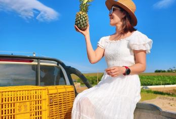 湛江徐闻一日游|10小时包车|菠萝的海+大陆南极村+合水线【[品质优选]精品私家小团包车游，全程一对一服务，不与陌生人拼车，司导耐心沟通，用心服务，出行更舒心！】