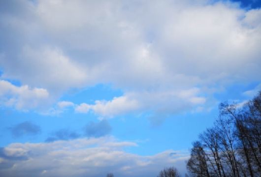 日本北海道+旭川动物园+旭山寺一日游/行程可调-可定制多日【包车一日游，解锁旅行新方式！独立车辆配备经验丰富的老司机，为您量身打造专属行程。】