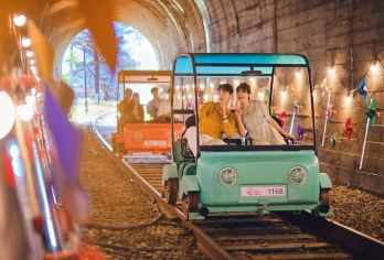 南怡岛+小法国或义大利村+加平铁轨自行车+早晨宁静花园一日游【南怡岛: 韩剧《冬季恋歌》取景地，四季皆美，有银杏大道、骑行小路与湖边美景，浪漫又放松。】