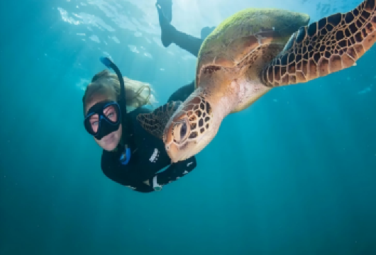 翡你摩属 - 凯恩斯太阳恋人号摩尔礁翡翠岛一日游套餐船去船回【摩尔外堡礁+翡翠岛】