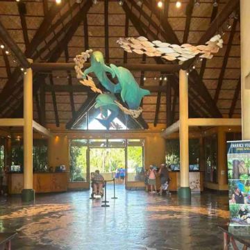 美国奥兰多探索湾+奥兰多摩天轮一日游