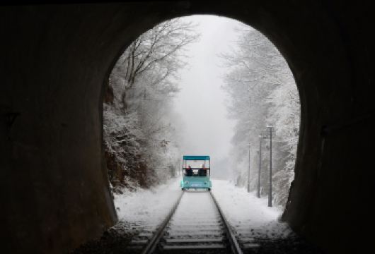 韩国南怡岛+江村铁路自行车一日游 (首尔出发, 中英文导游)【南怡岛自然美景｜四季皆美、林荫成景，韩剧《冬季恋歌》取景地，情侣与亲子同游的热门小岛。】