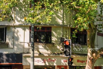 上海CityWalk 愚园路3小时讲解-上海本地老克勒特色R【上海的思南路是一条充满历史韵味的街道拥有众多文化和历史地标】