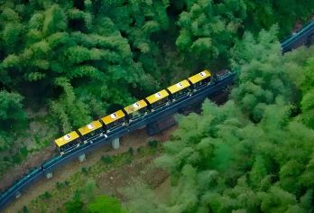 成都出发：川西竹海+平乐古镇一日游（治愈系竹海列车）【可选英文导游|专车接送|行程可调|可定制行程】