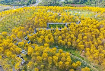 广西南宁：导游地陪/展会/商务翻译中英俄法德西 H【全程中文/英文/俄语/多种小语种服务，专业讲解，沟通无障碍，行程景点可调可定制。】