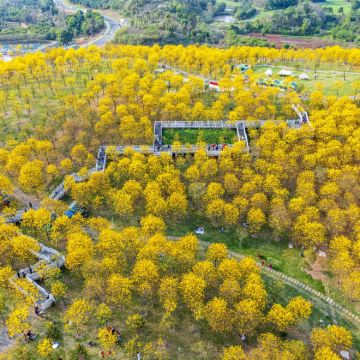 广西南宁：导游地陪/展会/商务翻译中英俄法德西 H