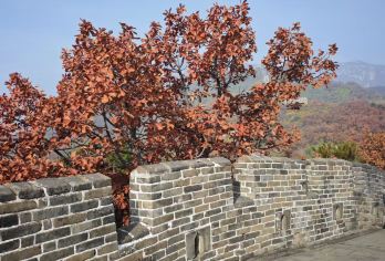 慕田峪长城颐和园私人之旅，配备英语司机【持VIP快速通行证避开慕田峪长城的人潮 会说英语的司机 在自由活动时间，您可以按照自己的节奏游览长城和颐和园。】