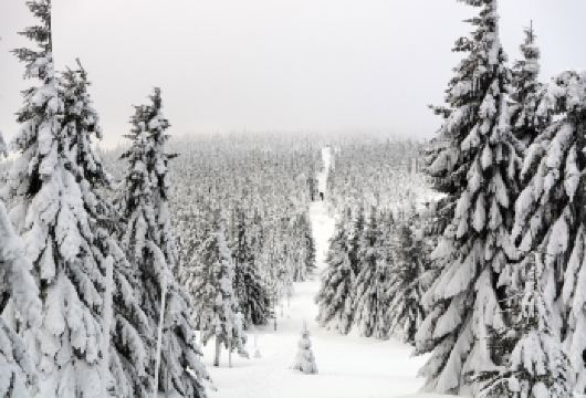 挪威多地往返+塞尼亚岛+senja岛【专车接送】中文司导【[1人起订，轻松跟团]无需拼单等待，1人也可报名出行，满足个人及小团体需求】