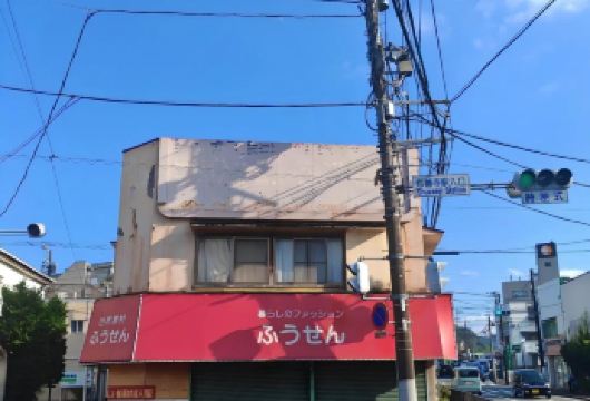 日本东京+伊豆+热海海滨公园一日游/行程可调-可定制多日【包车一日游，解锁旅行新方式！独立车辆配备经验丰富的老司机，为您量身打造专属行程。】