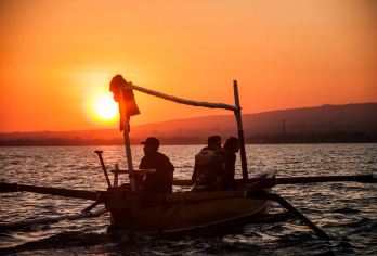 罗威纳追逐海豚+Alas Harum梯田俱乐部+乌布皇宫【巴厘岛包车一日游，行程灵活可调整】