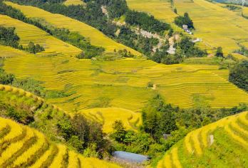 桂林龙脊梯田一日游：黄洛红瑶寨+金坑大寨梯田【纯玩8人小团】【[高端服务]8人小团/私家团可选，高端纯玩、无购物、无自费，放心游！】