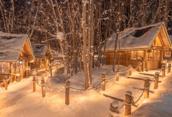 日本北海道拼团 旭山动物园/白须瀑布/美瑛/精灵露台/青池 【1人成团，1个人也能轻松出行，想走就走！】