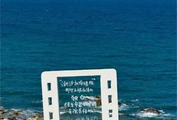 威海一日游【天鹅湖+沉船+孤独公约】8大网红打卡+天鹅海鸥粮【威海经典网红打卡线路，体验沿海风光，打卡威海标志性景点，送天鹅粮及海欧粮】