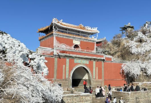 【马年大吉】泰山一日游·含景交/索道可选·送文创礼【含景区门票+上下山景交车，可爬山/可索道，行程灵活自由！】