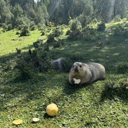 武威冰沟河+头道槽沙漠一日游 2-8人纯玩小团