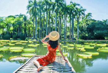 中科院热带植物园+傣族园一日游可选15人团+真纯玩不进店【[版纳故事官]带咱们边看边听，深度游玩！让雨林的美景养眼，让尘封的故事入味，一次旅行，收获双重享受。】