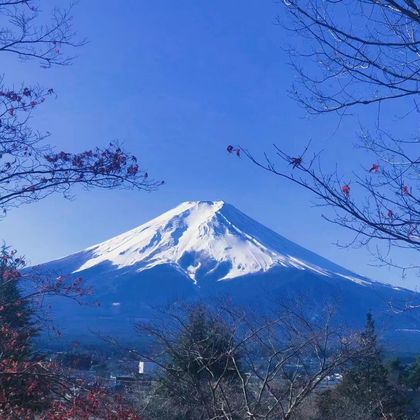 日本富士山+富士山五合目+新仓山浅间公园+忍野八海一日游