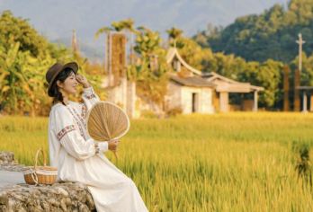 广州一日【金秋从化 | 上罗村·千亩柿海+艾米稻谷小镇】【[上罗村柿海]深秋的从化上罗村，宛如橘色灯笼的柿子挂满枝头。这里盛产清甜爽脆的“霜降柿”】