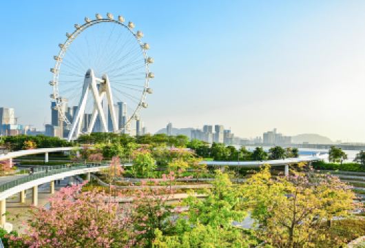 深圳博物馆+欢乐港湾+南头古城+莲花山一日活动|包车游上门接送【私家旅行：一单一团，不拼客，专属旅行；品质服务：5座/7座车上门接送，专职司机护航】