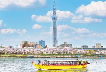 日本东京市区及周边包车一日游：酒店接送/正规绿牌/中英文司机【东京及周边地区私人定制包车，正规绿牌无忧出行，一单一团行程自由】