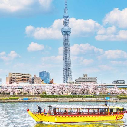 日本东京市区及周边包车一日游：酒店接送/正规绿牌/中英文司机