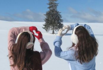 9人团-日本北海道富良野一日游丨旭山动物园+美瑛圣诞树【精选花田+青池+四季彩丘，一次打卡富良野美瑛经典景点，行程紧凑不赶路！】
