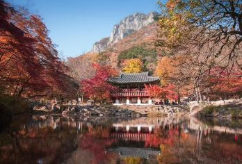 赏秋专线丨精品小团丨栖霞山+中山陵+美龄宫+梧桐大道+燕雀湖【[赏秋专线]红枫栖霞山；秋韵美龄宫；醉美梧桐大道；燕雀湖红杉；一次解锁秋季通话；】